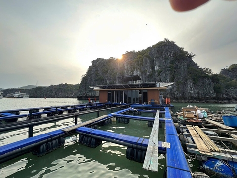 Nuôi trồng thủy sản tạo chuỗi liên kết xanh