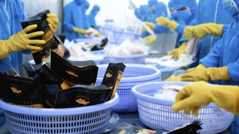 Doanh nghiệp mong cơ chế tín dụng ưu đãi riêng cho nuôi biển công nghệ cao