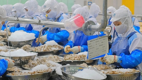 Ông lớn thủy sản Việt Nam tự tin ứng phó cuộc điều tra chống bán phá giá, xuất khẩu 30% sang thị trường Mỹ