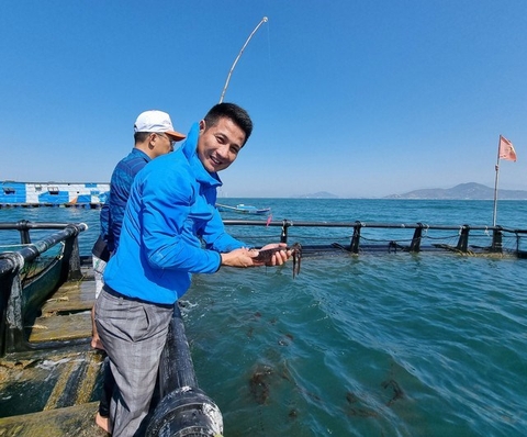 Tin nuôi biển Cô Tô cập nhật hôm nay (08/3/2026)