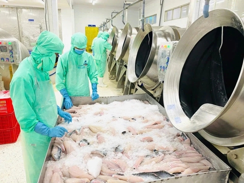 Khởi động xây dựng Bộ TCVN Xanh - Số - ESG cho ngành thủy sản