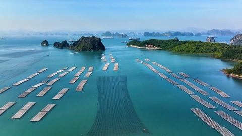 Sự cần thiết sửa đổi toàn diện Luật Tài nguyên, Môi trường biển và hải đảo