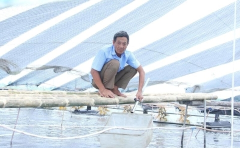 Thành tỷ phú từ nuôi tôm công nghệ cao: Hướng đi mới tăng thu nhập nông dân ven biển xứ Thanh
