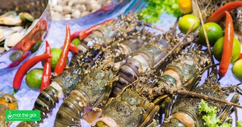 Trung Quốc chi 341 triệu USD bao mua gần như toàn bộ tôm hùm của Việt Nam