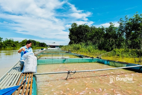 Nuôi thủy sản giữ đà tăng trưởng cao