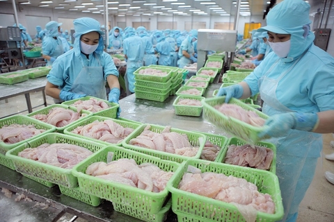 Thuỷ sản mở hướng mới sau áp lực thuế quan