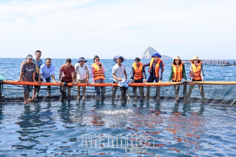 Kiểm tra tiến độ nuôi trồng thủy sản trong lồng HDPE ở khu vực Hòn Nội