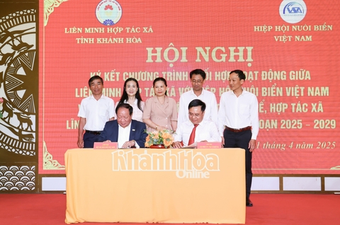 Liên minh hợp tác xã tỉnh Khánh Hòa: Ký kết Chương trình phối hợp về nuôi biển công nghệ cao