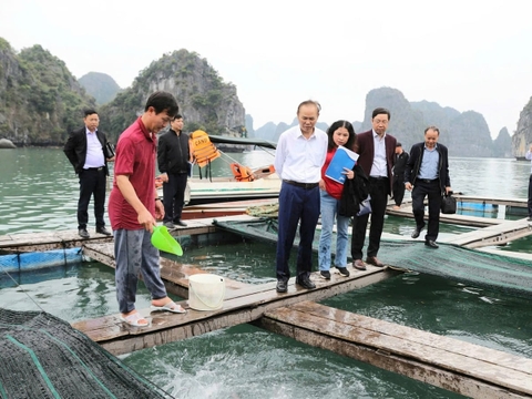 Thứ trưởng Phùng Đức Tiến kiểm tra tình hình nuôi cá Cam, cá Nhụ