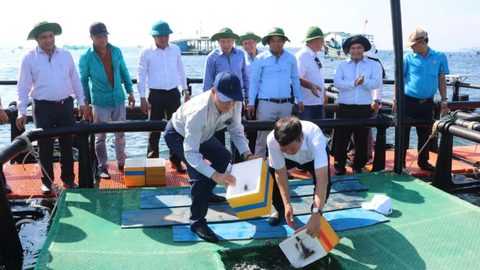 Đột phá công nghệ giống, thúc đẩy chiến lược nuôi biển