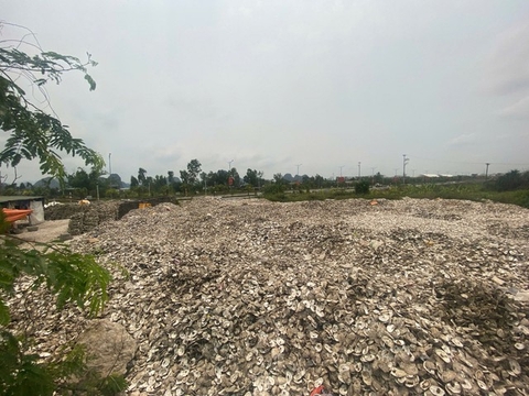 Ra quyết định khởi tố chủ cơ sở chế biến hàu Phạm Thị Thắm SN 1978