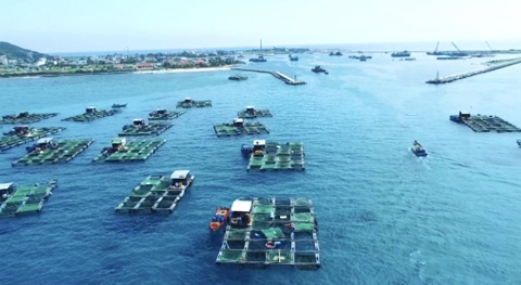 Hơn 1,5 tỷ đồng 