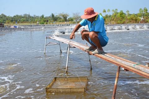 Phát triển bền vững ngành thủy sản