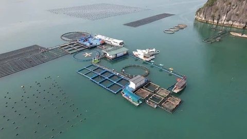 Kết nối dữ liệu, nâng hiệu quả giao khu vực biển