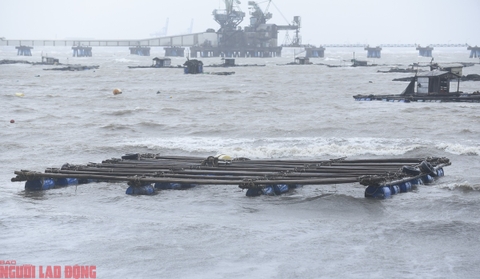 Khu nuôi cá lồng của ngư dân Thanh Hóa chìm trong mưa bão số 5