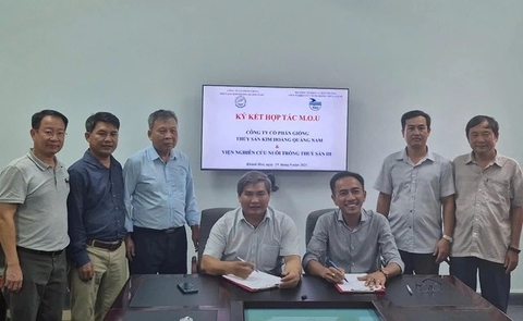 'Lên đời' cho con giun biển