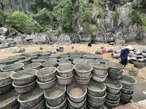 Yêu cầu chấm dứt ngay hoạt động nuôi trồng thủy sản trái phép trên Vịnh Hạ Long