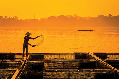 Giảm phụ thuộc hóa chất trong nuôi trồng thủ