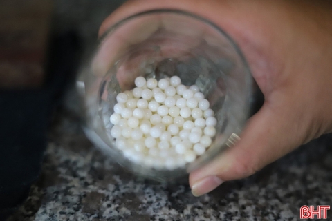 Nuôi trai nước ngọt lấy ngọc mở hướng phát triển thủy sản công nghệ cao