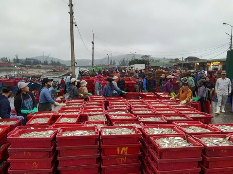 Nghệ An sẵn sàng đón Đoàn Thanh tra EC lần thứ 5