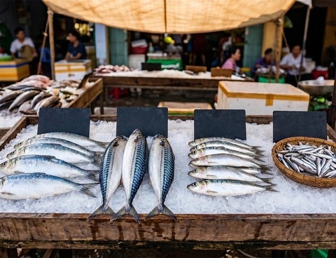 Bác sĩ gợi ý những loại cá giàu omega-3 cho người lớn tuổi