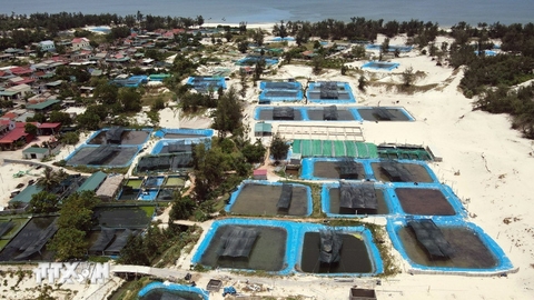 Thực trạng lấn chiếm đất rừng để nuôi cá lóc trái phép tại Quảng Trị