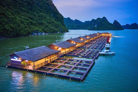 Nuôi biển, vươn biển và làm giàu từ biển: Từ hoài nghi đến những minh chứng cụ thể