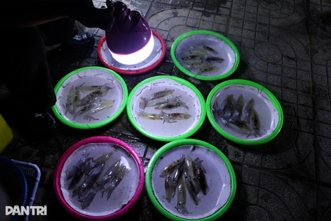 Tiểu thương bán đặc sản không dùng cân, người mua kín đường trong đêm