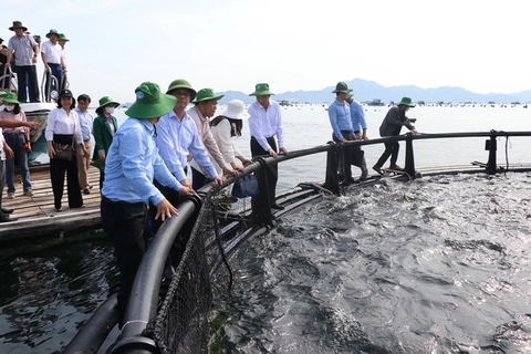 Tạo sinh kế bền vững cho ngư dân