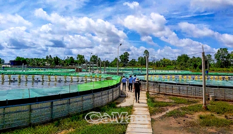 Thuỷ lợi - Yếu tố then chốt thúc đẩy sản xuất vùng Nam Quốc lộ 1