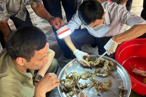 Giải pháp ban đầu ứng phó với hiện tượng cua chết ở Cà Ma