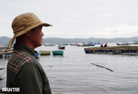 Trở lại thủ phủ tôm hùm sau cơn lũ lịch sử