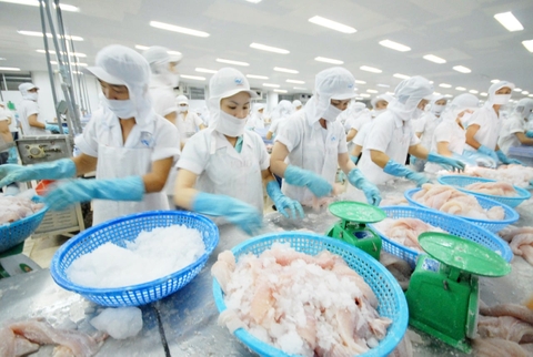 Tôm, cá tra Việt Nam chọn ‘đi bền’ trong cạnh tranh toàn cầu