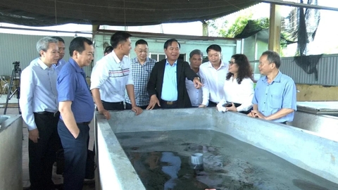 Viện Khoa học Thủy sản Việt Nam cần tập trung 3 nhiệm vụ trọng tâm