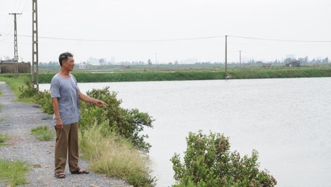 Nuôi thủy sản theo hướng hữu cơ: Môi trường sạch, giá trị cao