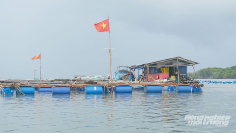 Quy hoạch bền vững để thủy sản TP.HCM bứt phá