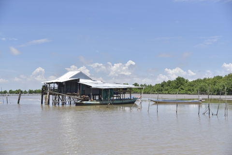 Nông nghiệp An Giang chuyển mình - Bài 4: Làm giàu từ bãi bồi ven biển