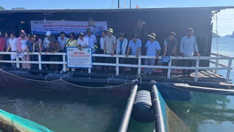 Nuôi cá song bằng lồng HDPE đạt VietGAP