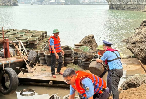 Yêu cầu chấm dứt ngay hành vi nuôi trồng thủy sản trái phép trên Vịnh Hạ Long