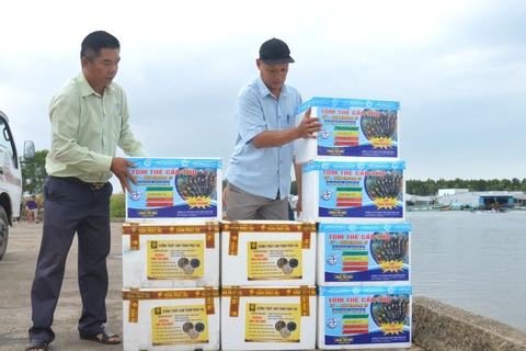 Kiên Giang sản xuất và ương dưỡng hơn 62,6 tỷ con giống thủy sản