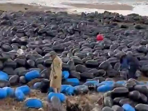 3 triệu quả phao nhựa trôi tự do trên biển sau siêu bão số 3 ở Vân Đồn, Quảng Ninh: Có hiện tượng 