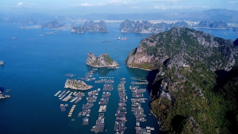 Nuôi biển công nghiệp cần cú hích từ thể chế và công nghệ