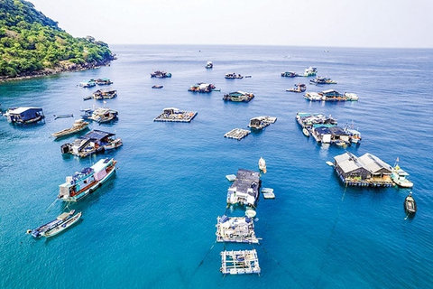 Chìa khóa xanh cho nuôi biển bền vững