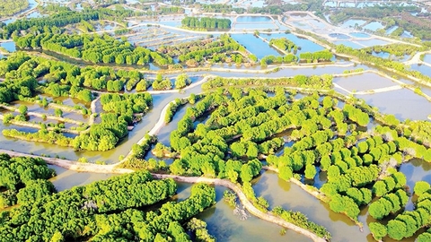 Phát huy tiềm năng, lợi thế kinh tế biển