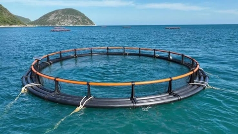 Hơi thở của biển