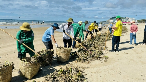 Rác đại dương ồ ạt tấn công biển Bãi Sau