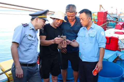Hà Tĩnh sẵn sàng triển khai nhật ký khai thác thủy sản điện tử