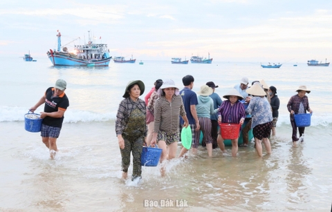 Đắk Lắk: Đầu tư hơn 727 tỷ đồng thực hiện chuyển đổi nghề trong khai thác thủy sản