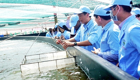 Đột phá công nghệ số trong nuôi trồng thủy sản