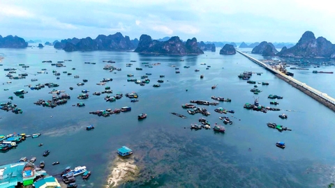 Chuyển đổi số để quản lý tàu cá tại Quảng Ninh